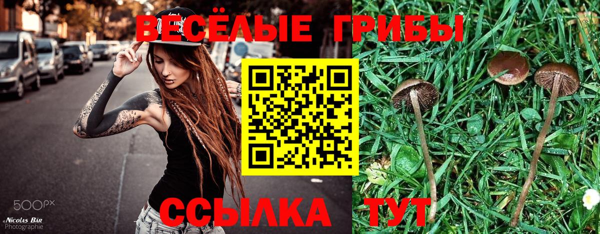 Псилоцибиновые грибы Cubensis  Псилоцибиновые грибы MAGIC MUSHROOMS  Кимовск  наркота  Вход с VPN 